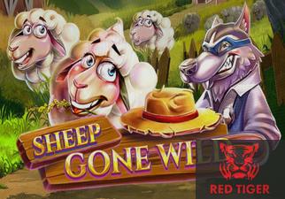 Sheep Gone Wild